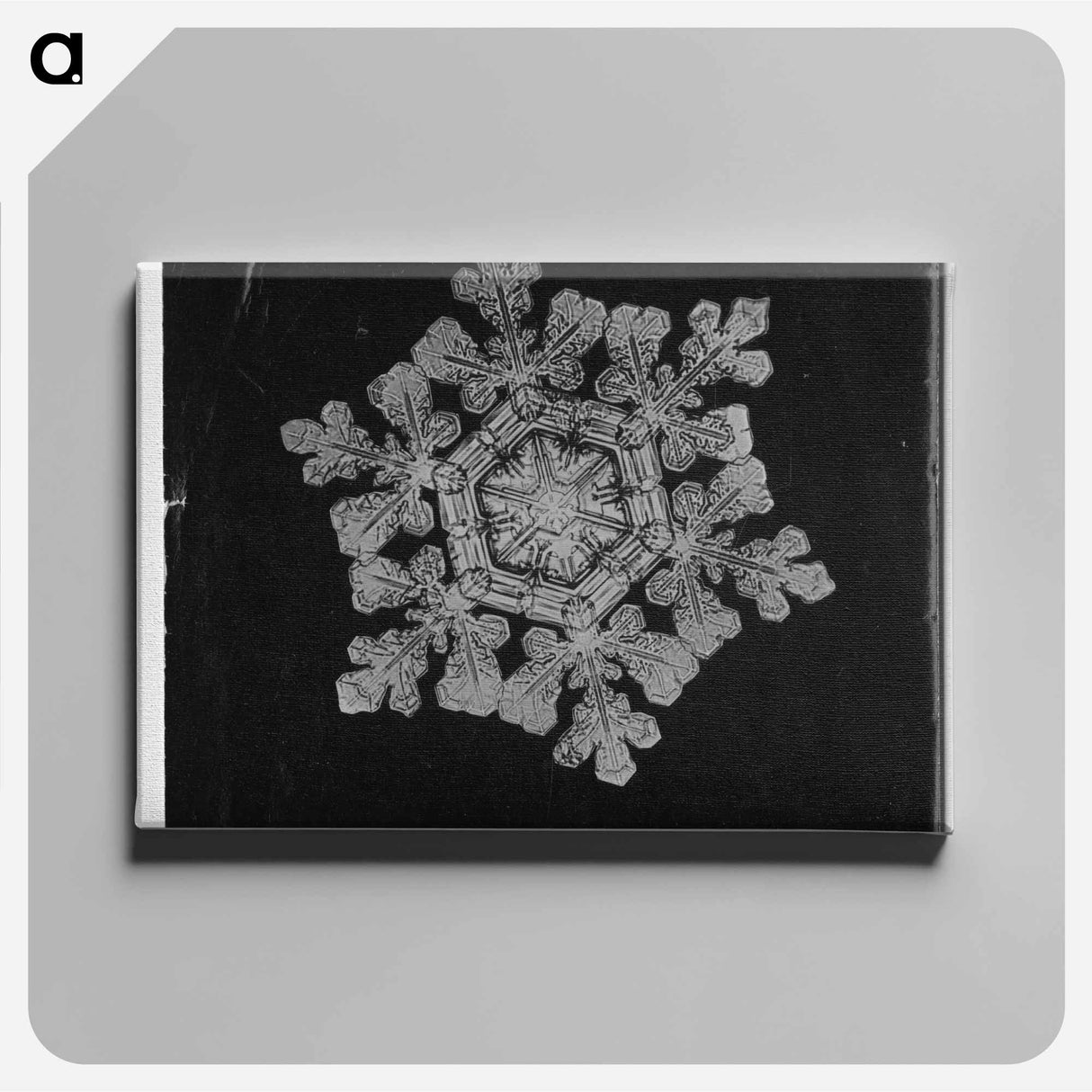 Wilson Bentley Photomicrograph of Dendrite Star Snowflake No. 591 - ウィルソン ベントレー Canvas.