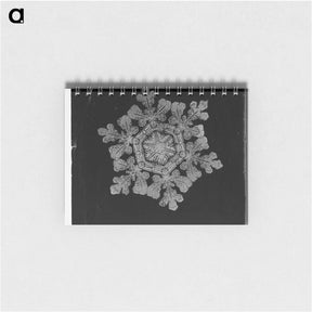 アートメモ帳-Wilson Bentley Photomicrograph of Dendrite Star Snowflake No. 591 - ウィルソン ベントレー Memo.
