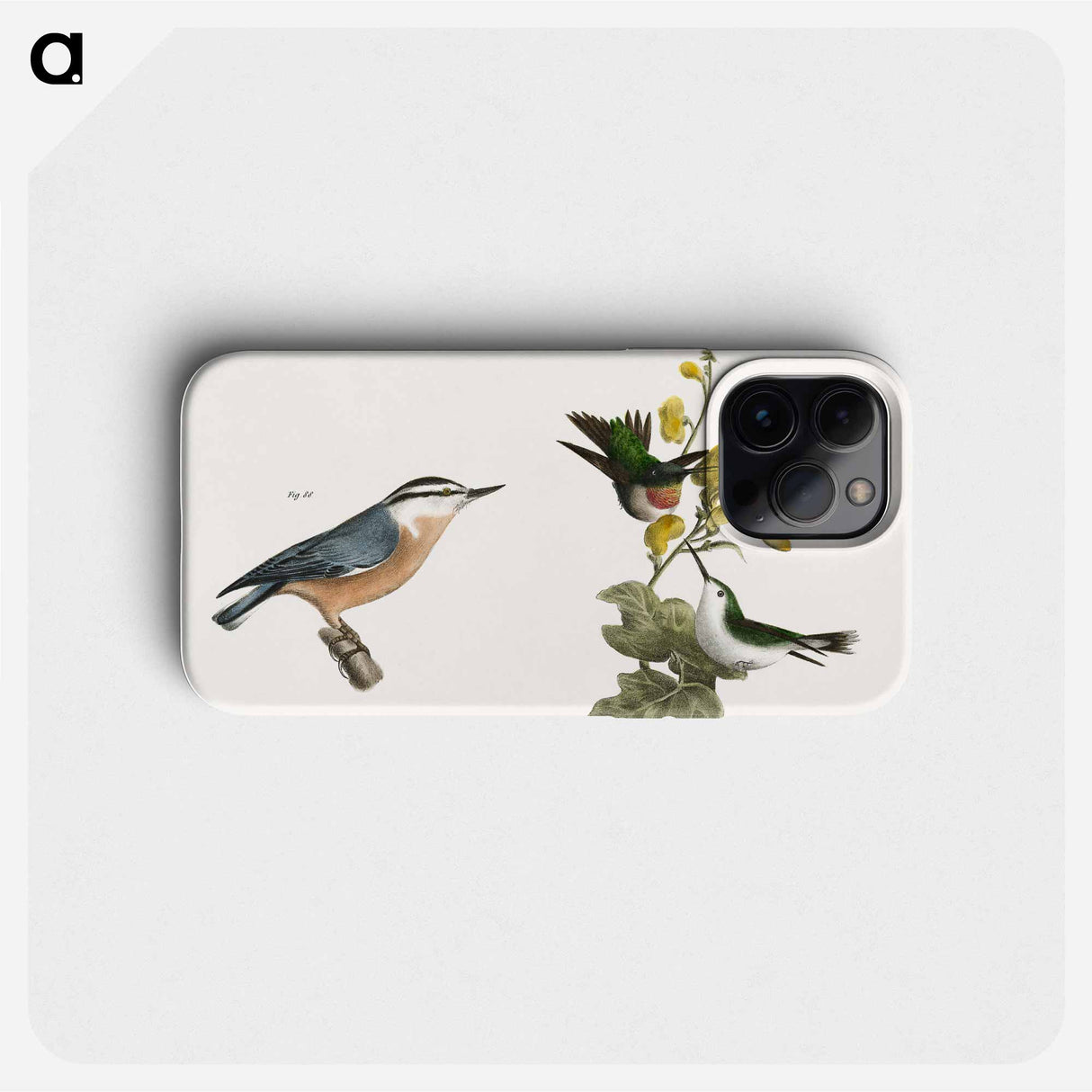 The Red-throated Hummingbird, male and female (Trochilus colubris) 88. The Red-bellied Nuthatch (Sitta canadensis) illustration from Zoology of New York by . Original from The New York - ニューヨークの動物学 Phone Case.