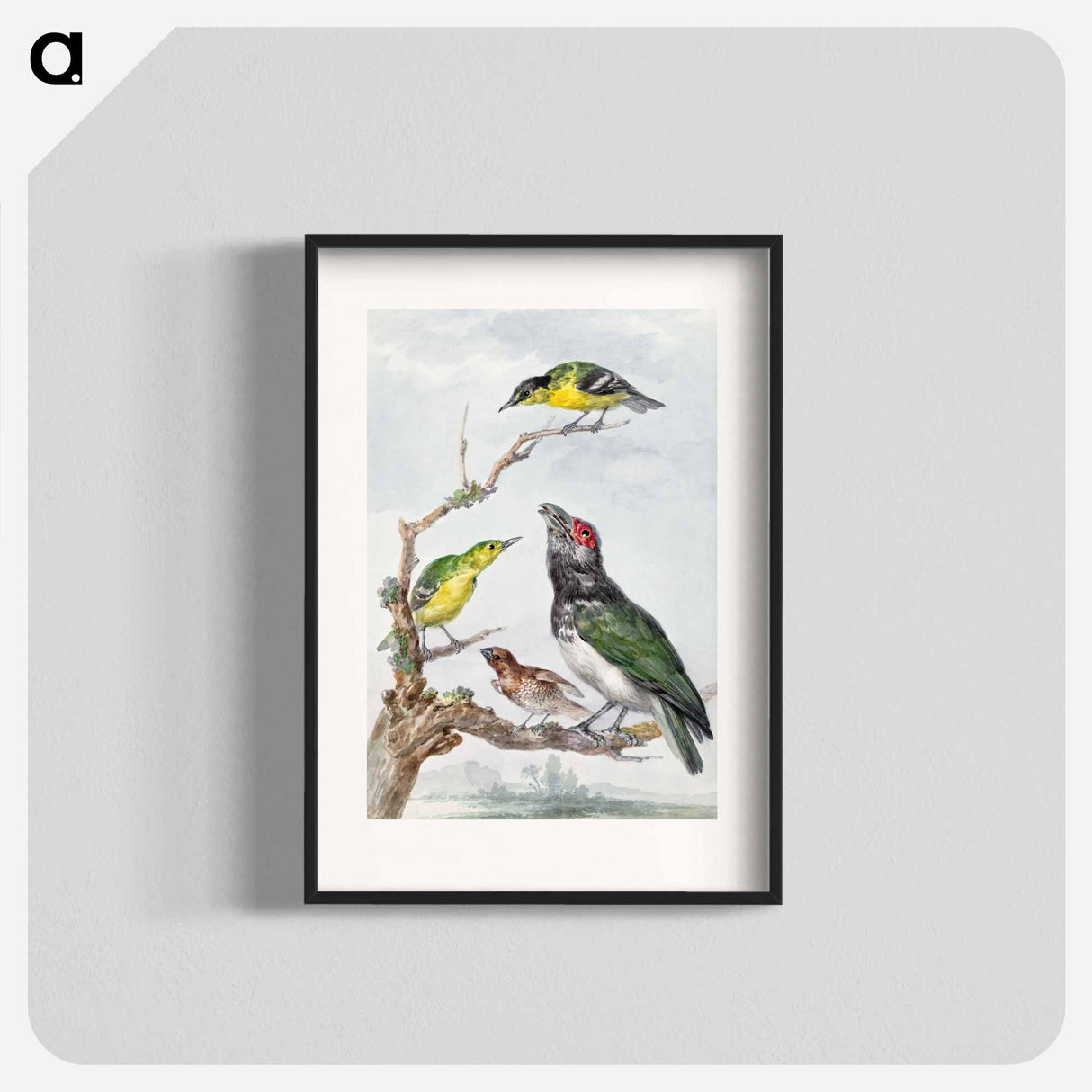 Four Different Birds on a Branch - アールト シューマン Poster.