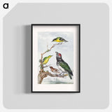 Four Different Birds on a Branch - アールト シューマン Poster.