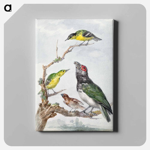 Four Different Birds on a Branch - アールト シューマン Canvas.