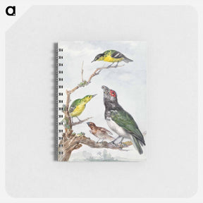 アートメモ帳-Four Different Birds on a Branch - アールト シューマン Memo.