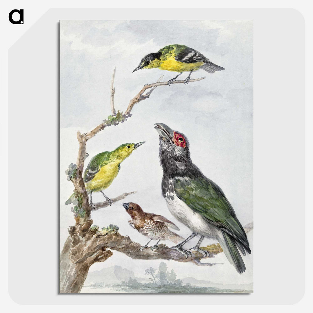 1-26_Aert-Schouman_picture-crop