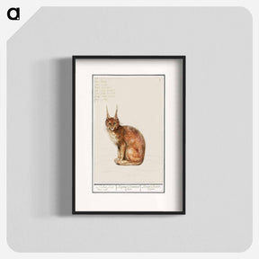 アートポスター-Lynx - アンセルムス ボエティウス デ ブート Poster.