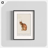 Lynx - アンセルムス ボエティウス デ ブート Poster.