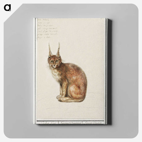 1-26_Anselmus-Boetius-de-Boodt_canvas