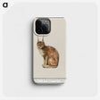 1-26_Anselmus-Boetius-de-Boodt_phone