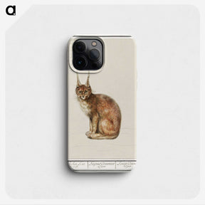 1-26_Anselmus-Boetius-de-Boodt_phone