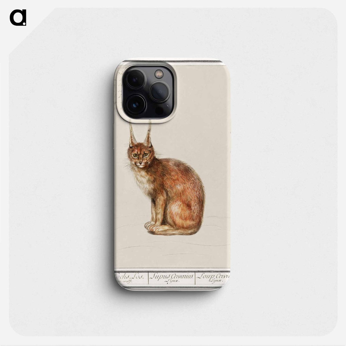Lynx - アンセルムス ボエティウス デ ブート Phone Case.