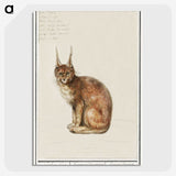 1-26_Anselmus-Boetius-de-Boodt_picture-crop