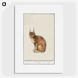 1-26_Anselmus-Boetius-de-Boodt_picture