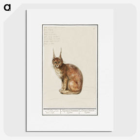 1-26_Anselmus-Boetius-de-Boodt_picture