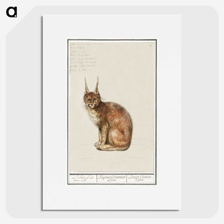 1-26_Anselmus-Boetius-de-Boodt_picture