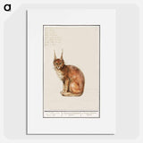 Lynx - アンセルムス ボエティウス デ ブート Poster.