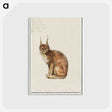 1-26_Anselmus-Boetius-de-Boodt_postcard