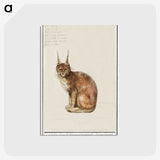 1-26_Anselmus-Boetius-de-Boodt_postcard