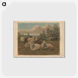 1-26_Arthur-Fitzwilliam-Tait_postcard