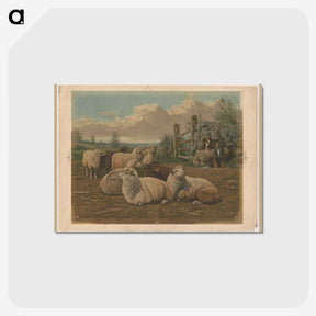 1-26_Arthur-Fitzwilliam-Tait_postcard