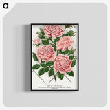 1-26_Botanical-Specimen-Plates_blk-crop