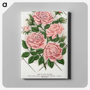 1-26_Botanical-Specimen-Plates_canvas