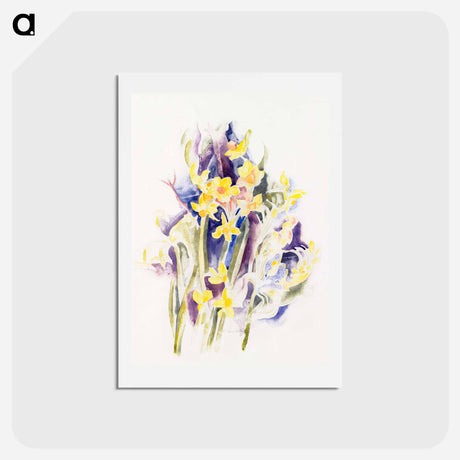 アートポストカード-Small Daffodils - チャールズ デムス Postcard.