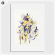 1-26_Charles-Demuth_picture