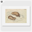 1-26_Charles-Hamilton-Smith_picture