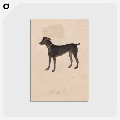 アートポストカード-Cleveland Museum of Art
 - クリーブランド美術館 Postcard.