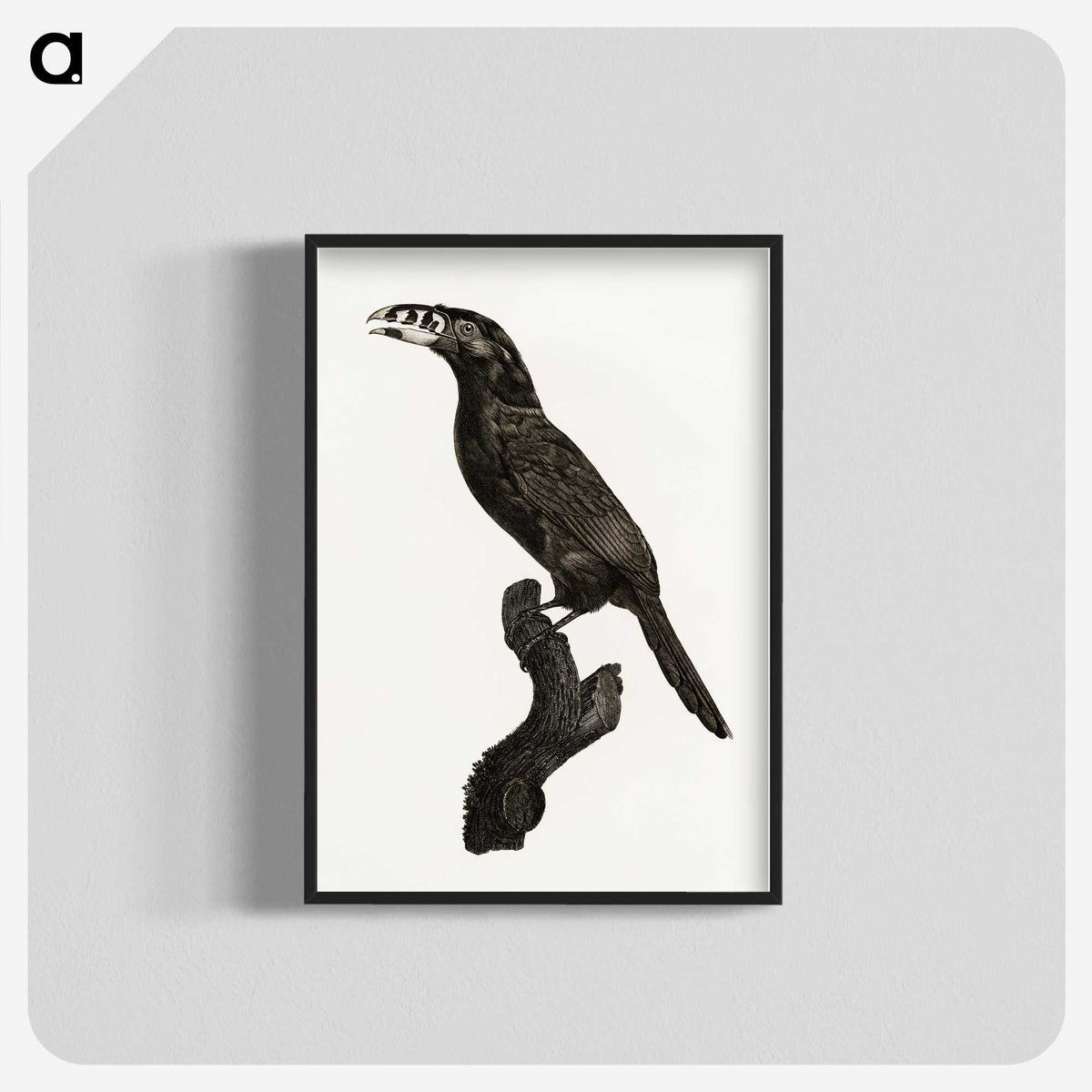 1-26_Des-Oiseaux-de-Paradis_blk-crop