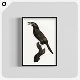 1-26_Des-Oiseaux-de-Paradis_blk-crop