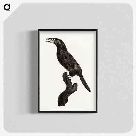 1-26_Des-Oiseaux-de-Paradis_blk-crop