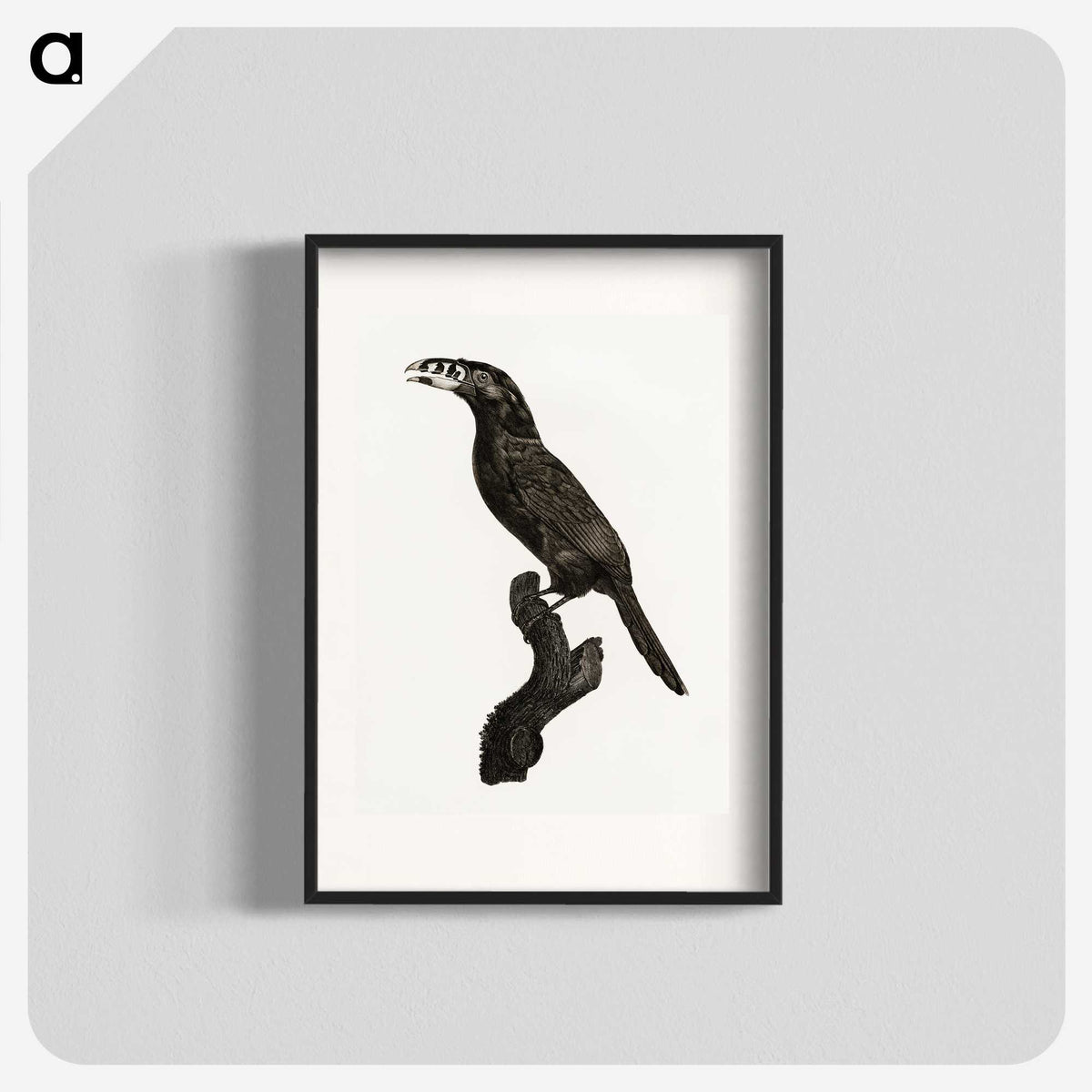 1-26_Des-Oiseaux-de-Paradis_blk