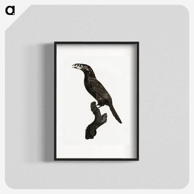 1-26_Des-Oiseaux-de-Paradis_blk