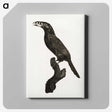 1-26_Des-Oiseaux-de-Paradis_canvas