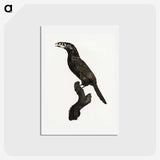 1-26_Des-Oiseaux-de-Paradis_hagaki