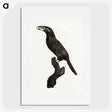 1-26_Des-Oiseaux-de-Paradis_picture