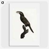 1-26_Des-Oiseaux-de-Paradis_picture