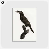1-26_Des-Oiseaux-de-Paradis_postcard