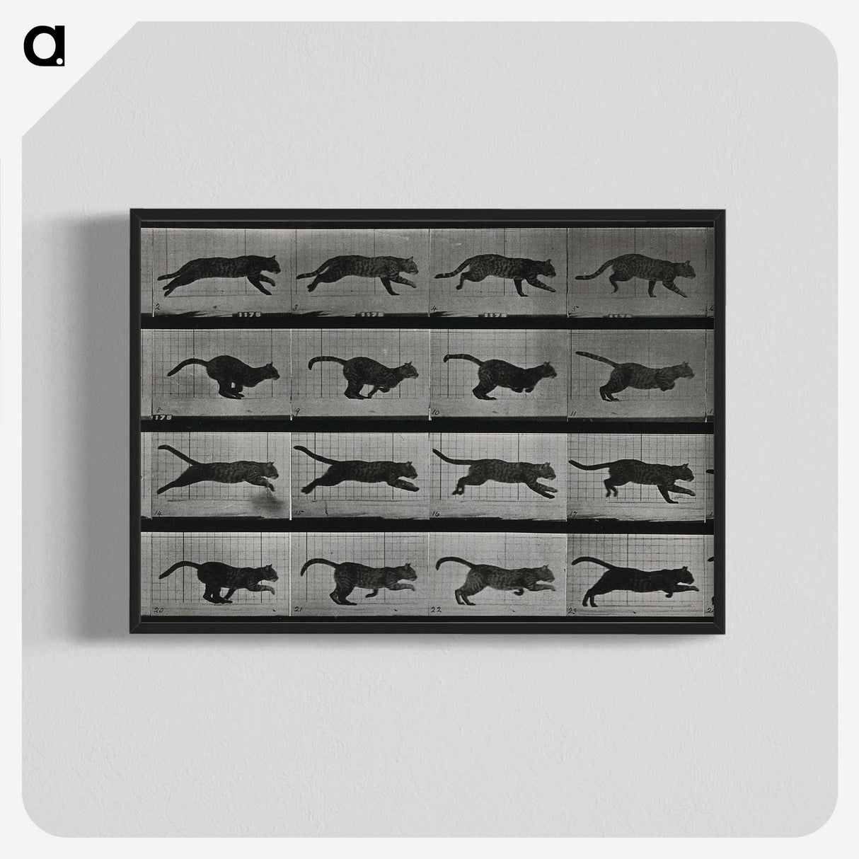 1-26_Eadweard-Muybridge_blk-crop