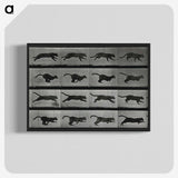 1-26_Eadweard-Muybridge_blk-crop