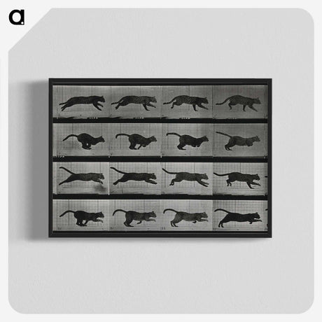 1-26_Eadweard-Muybridge_blk-crop