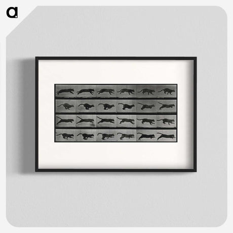 1-26_Eadweard-Muybridge_blk