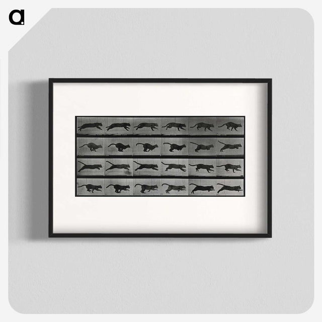 1-26_Eadweard-Muybridge_blk