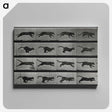 1-26_Eadweard-Muybridge_canvas