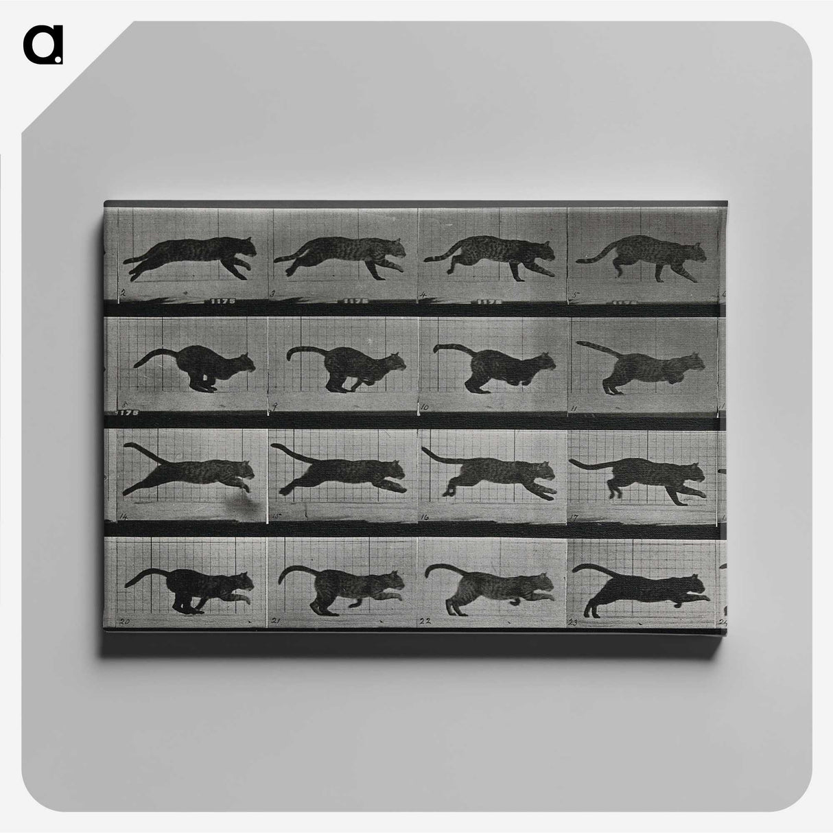 1-26_Eadweard-Muybridge_canvas