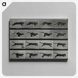 1-26_Eadweard-Muybridge_canvas