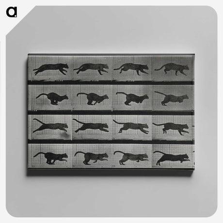 1-26_Eadweard-Muybridge_canvas