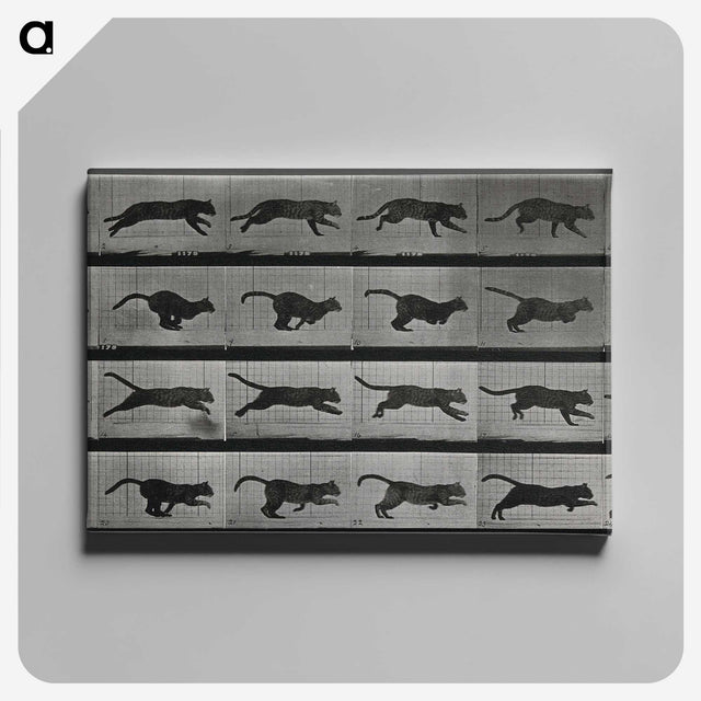 1-26_Eadweard-Muybridge_canvas