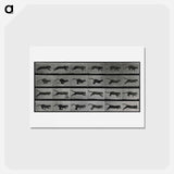アートポストカード-Running Cat
 - エドワード マイブリッジ Postcard.